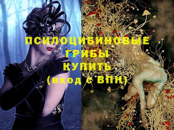 марки lsd Елизово